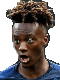 Players Picture